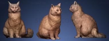 3D модель Пушистый кот 15 (STL)